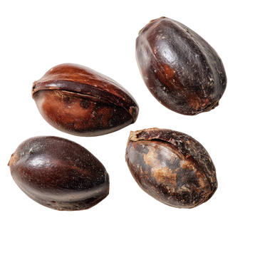 Grape Seed Extract 