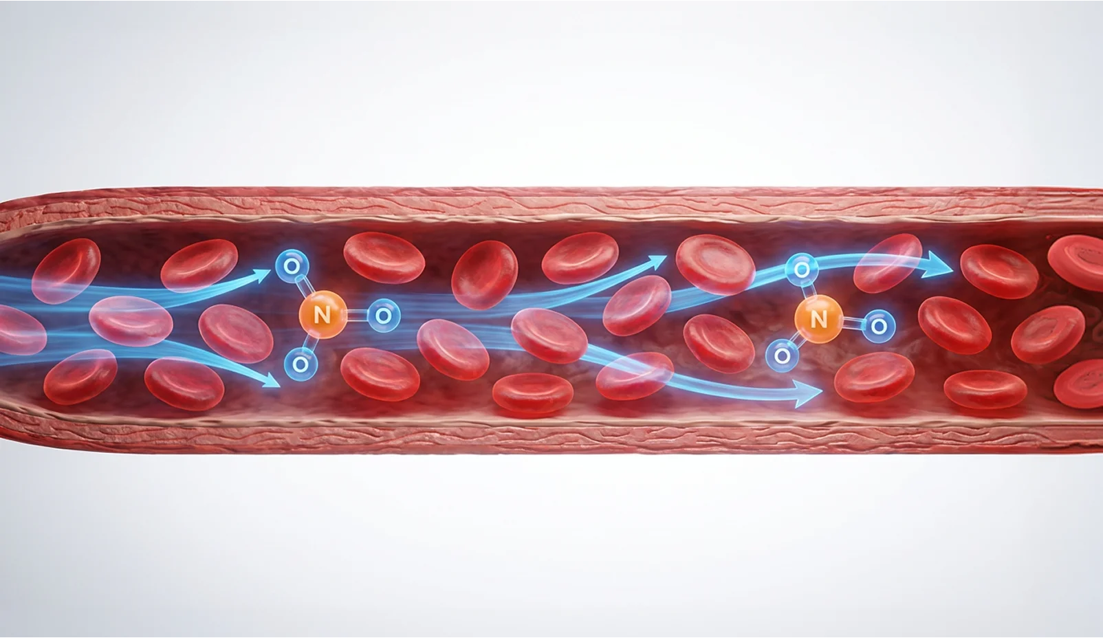 Nitric oxide supporting blood flow through a vessel